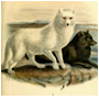 #7