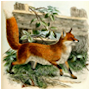 #4