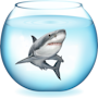 #6