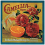 #5
