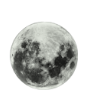 #7