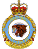 Canadian Armed Forces: Squadron: 439