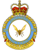 Canadian Armed Forces: Squadron: 443 (HS-443)
