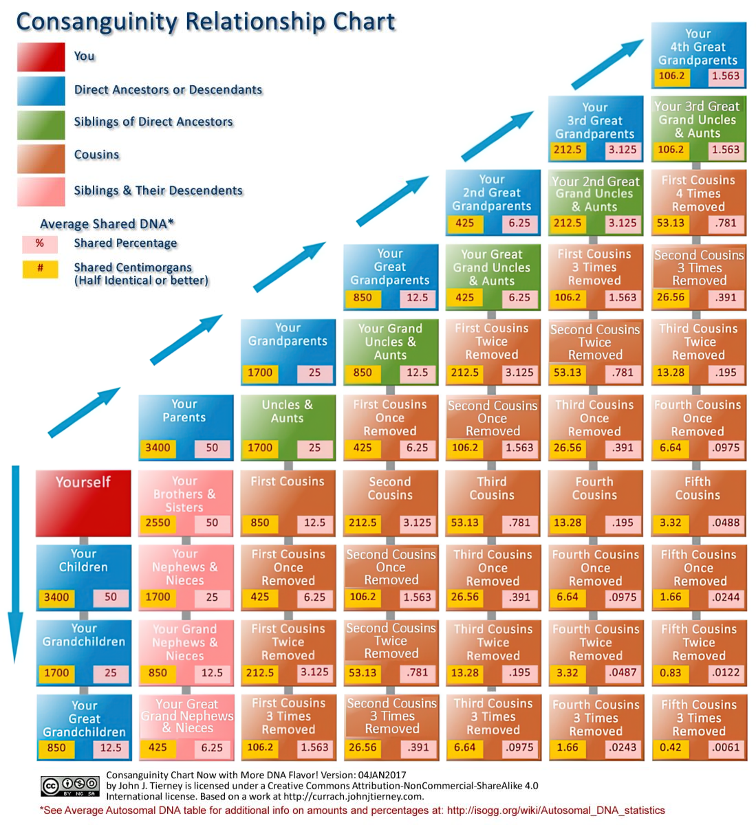 Consanguinity Relationship Chart(corrected by Merv Priestley)